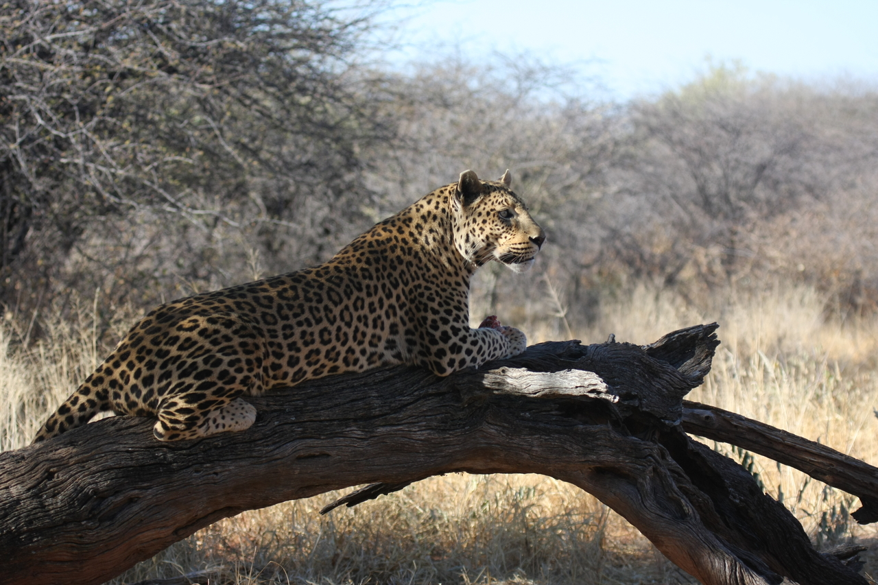 [5621] 2016_06_23_10_23_29_Africa_Canon_EOS_40D_IMG__00200.jpg