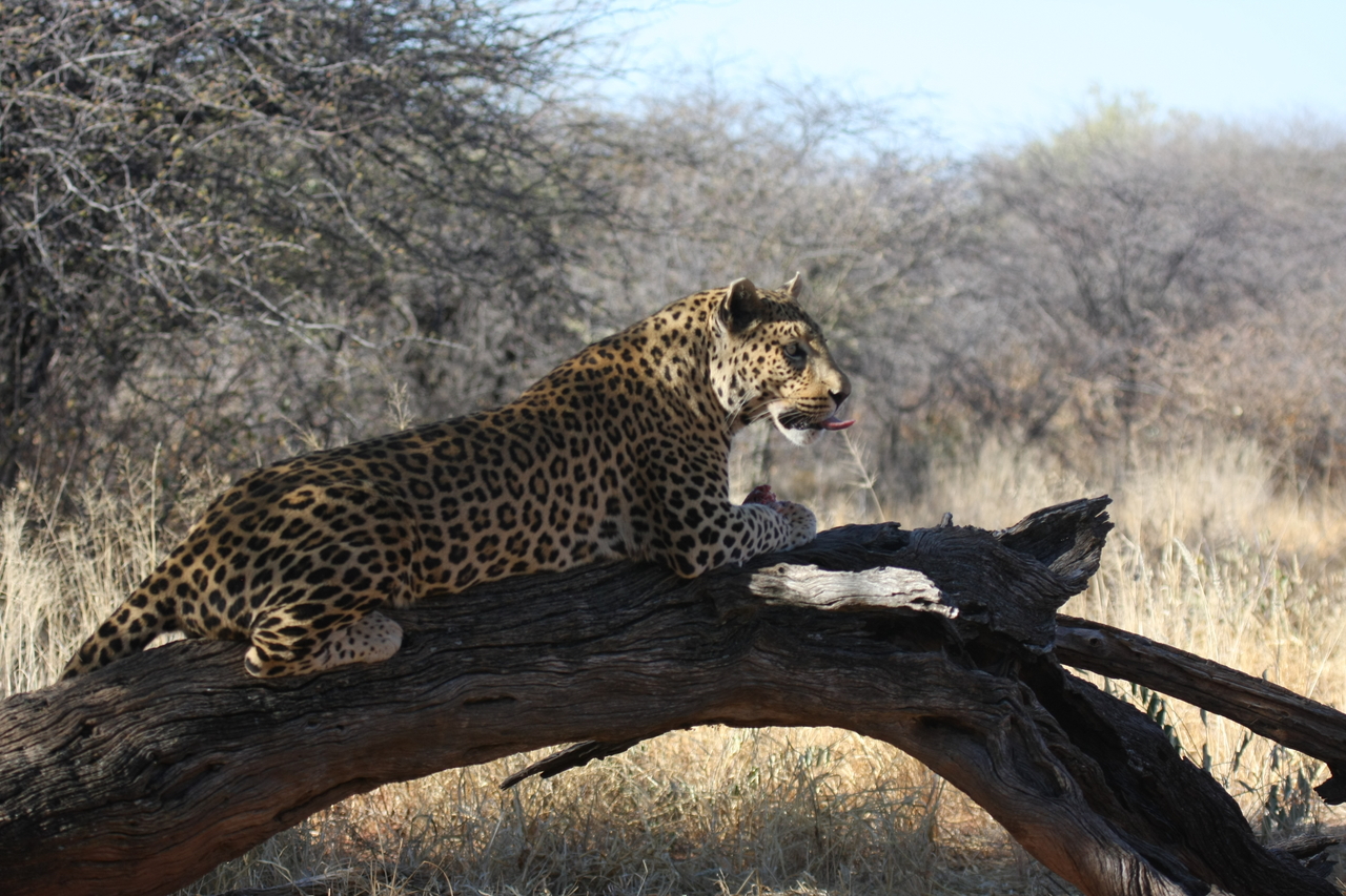 [5625] 2016_06_23_10_23_30_Africa_Canon_EOS_40D_IMG__01035.jpg