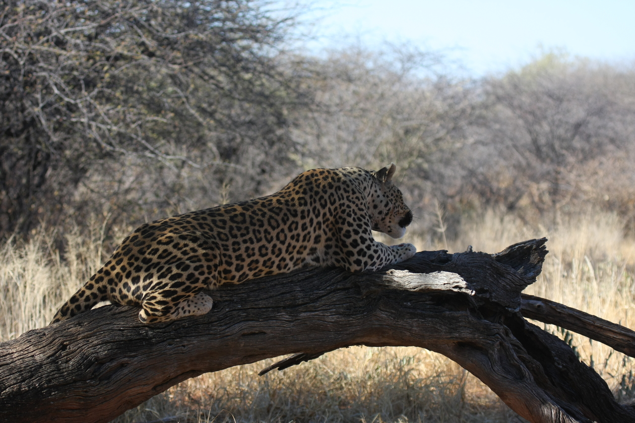 [5640] 2016_06_23_10_24_20_Africa_Canon_EOS_40D_IMG__00203.jpg