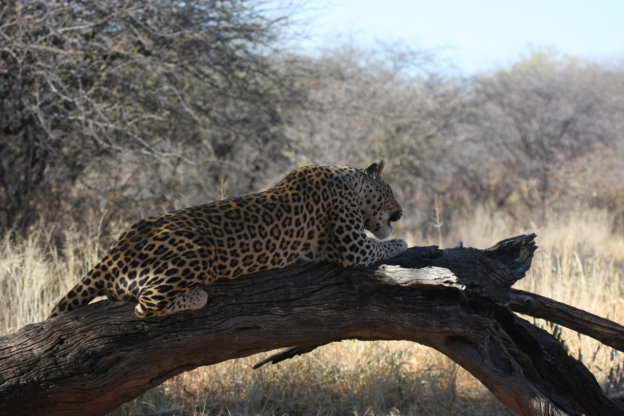 [5641] 2016_06_23_10_24_20_Africa_Canon_EOS_40D_IMG__01036.jpg