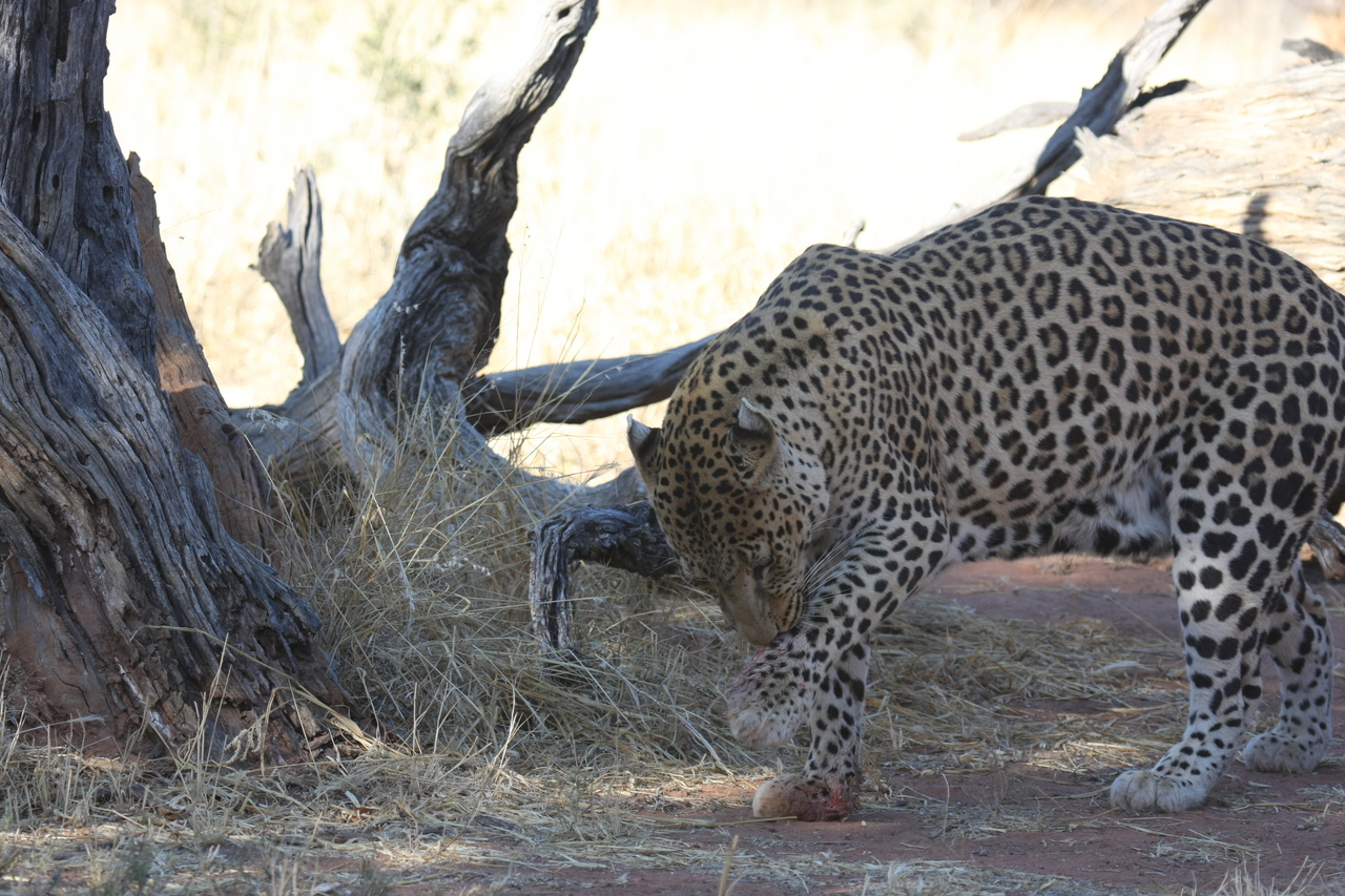 [5676] 2016_06_23_10_25_16_Africa_Canon_EOS_40D_IMG__00215.jpg