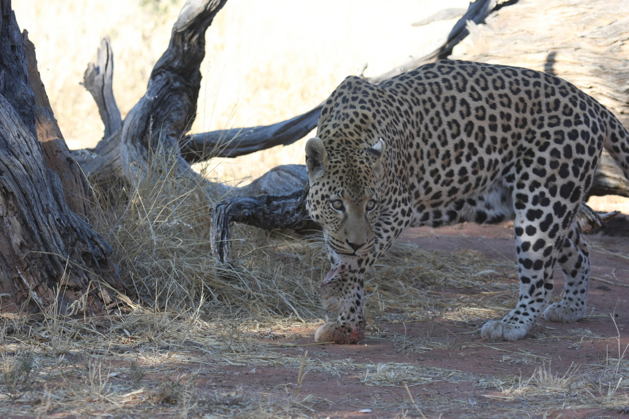 [5686] 2016_06_23_10_25_18_Africa_Canon_EOS_40D_IMG__01052.jpg