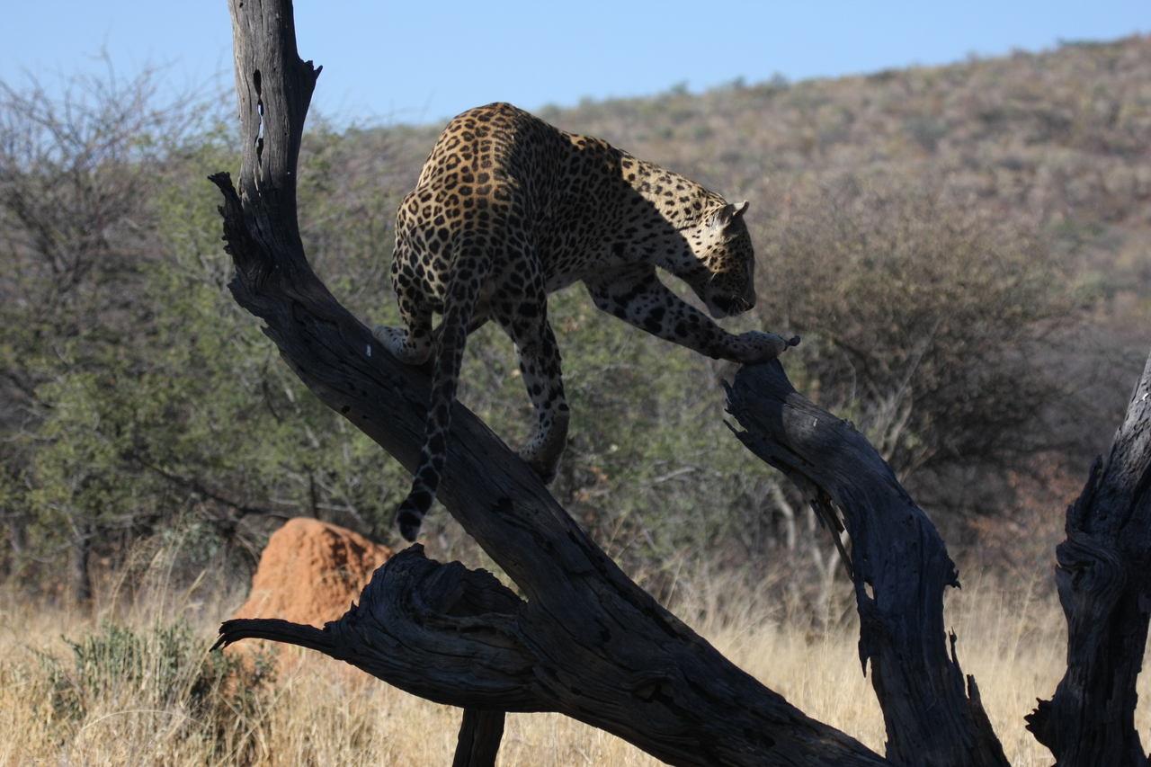 [5709] 2016_06_23_10_25_33_Africa_Canon_EOS_40D_IMG__01059.jpg