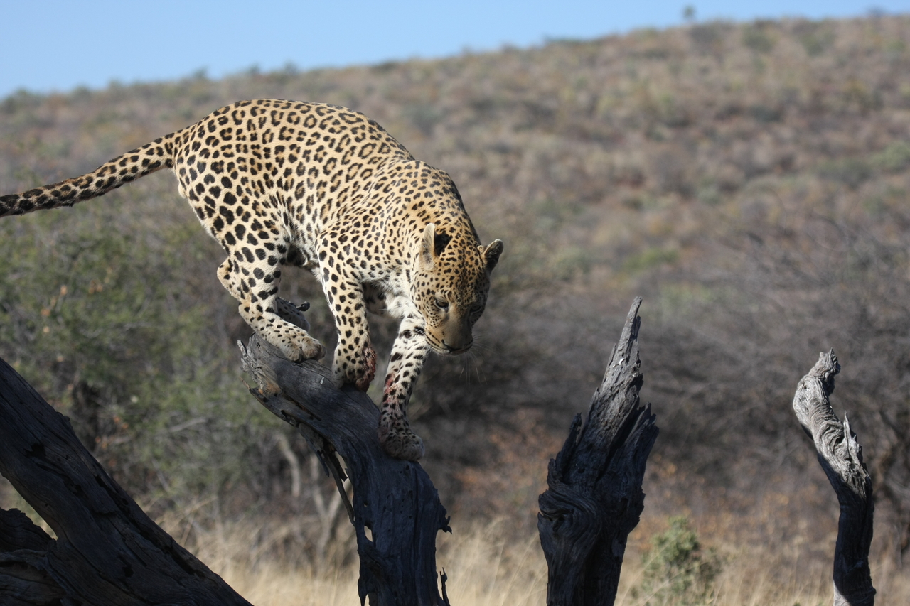 [5718] 2016_06_23_10_25_43_Africa_Canon_EOS_40D_IMG__01062.jpg