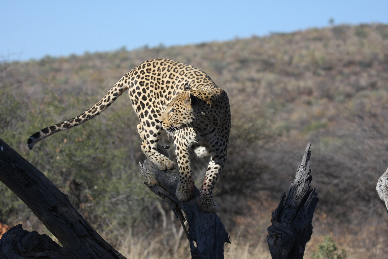 [5725] 2016_06_23_10_25_44_Africa_Canon_EOS_40D_IMG__08511.jpg