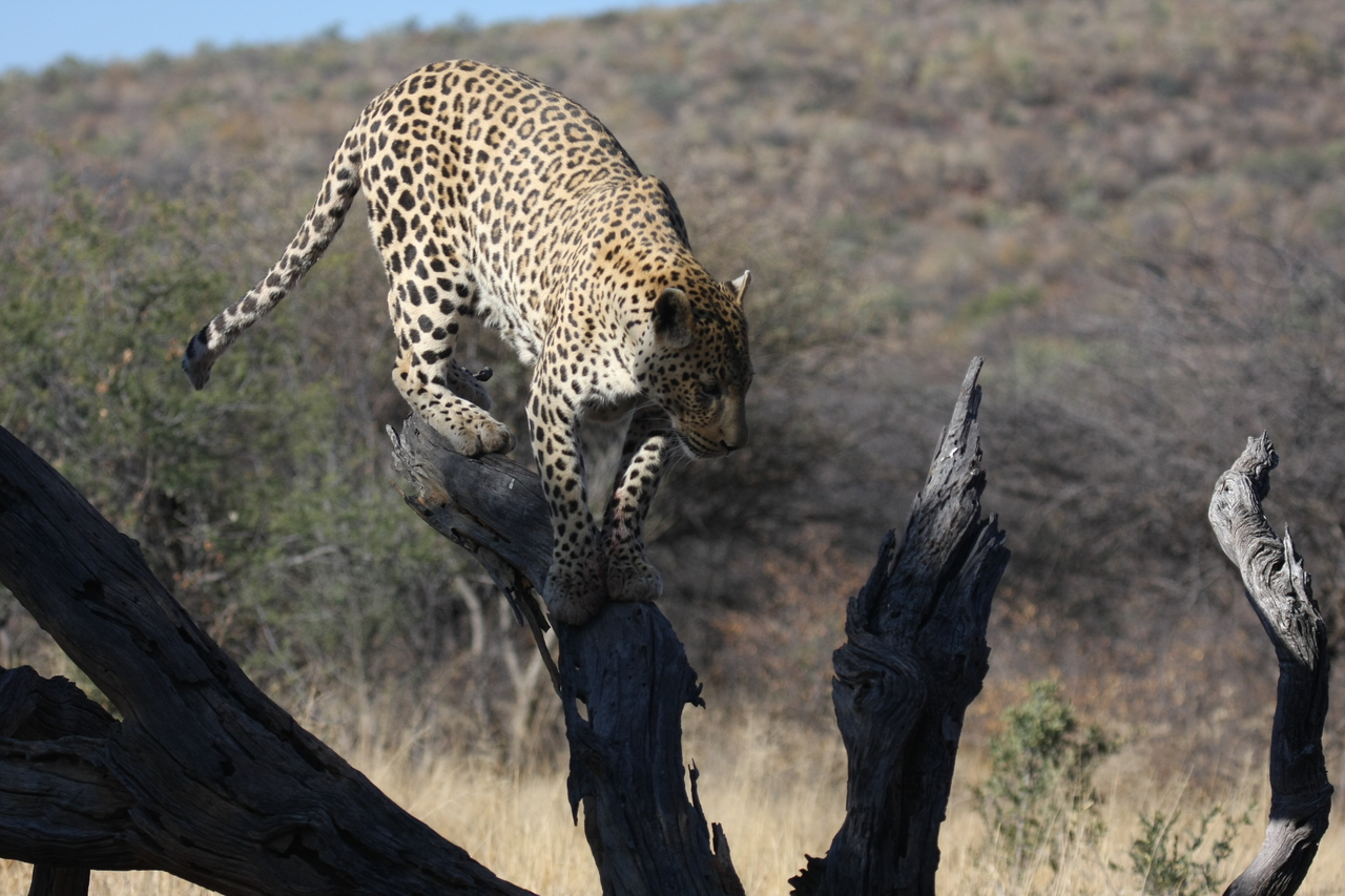 [5730] 2016_06_23_10_25_46_Africa_Canon_EOS_40D_IMG__01066.jpg