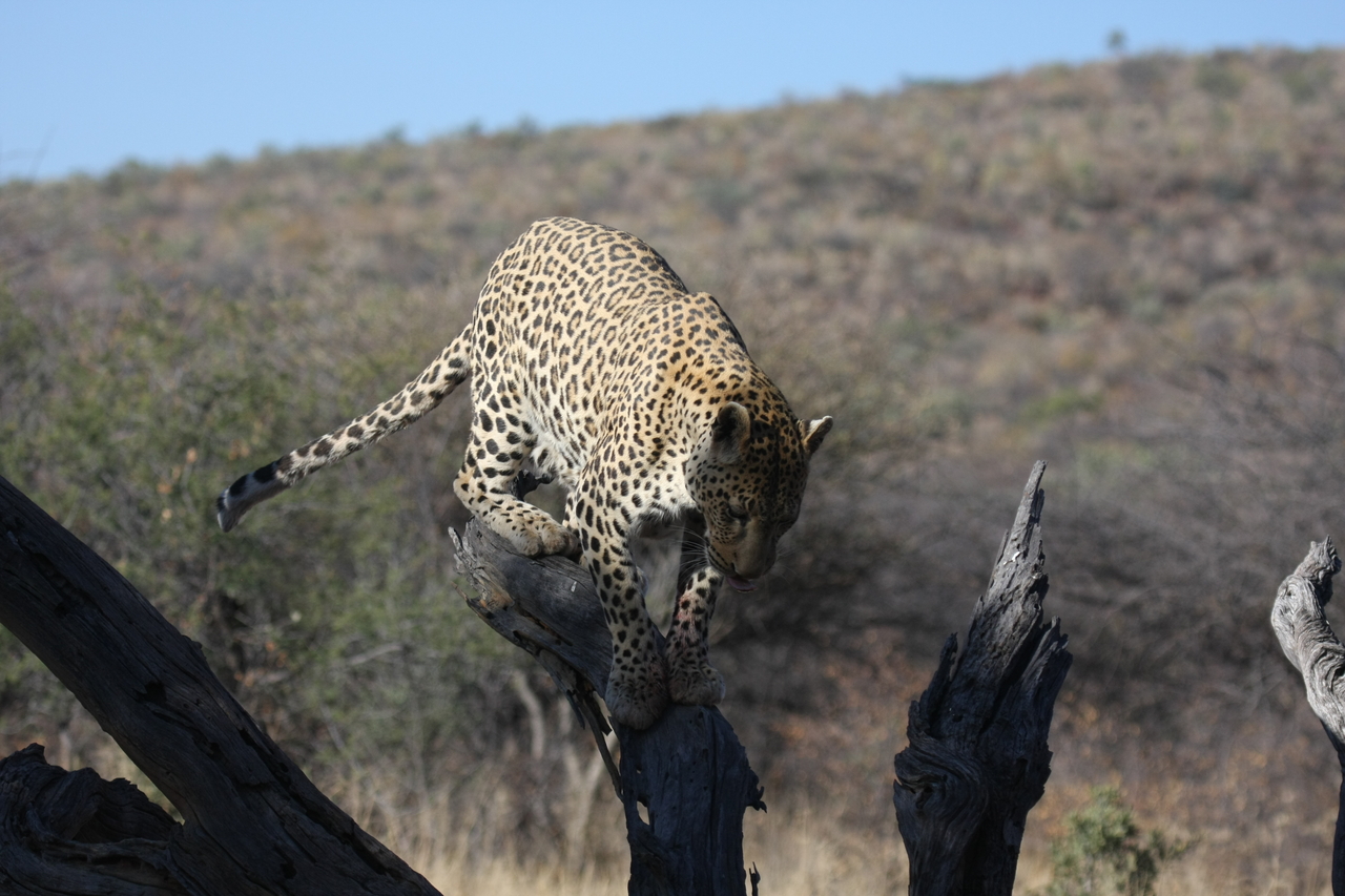 [5740] 2016_06_23_10_25_47_Africa_Canon_EOS_40D_IMG__01070.jpg