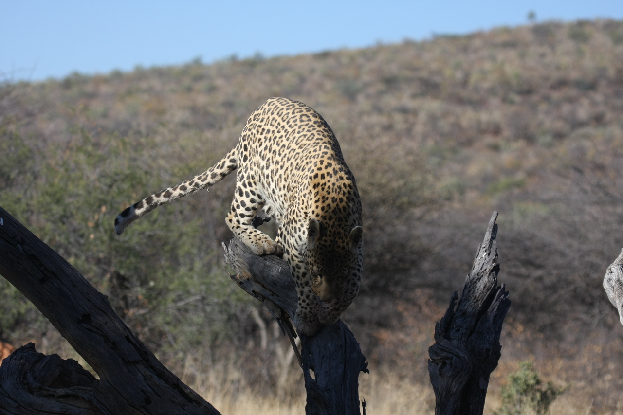 [5747] 2016_06_23_10_25_48_Africa_Canon_EOS_40D_IMG__01072.jpg