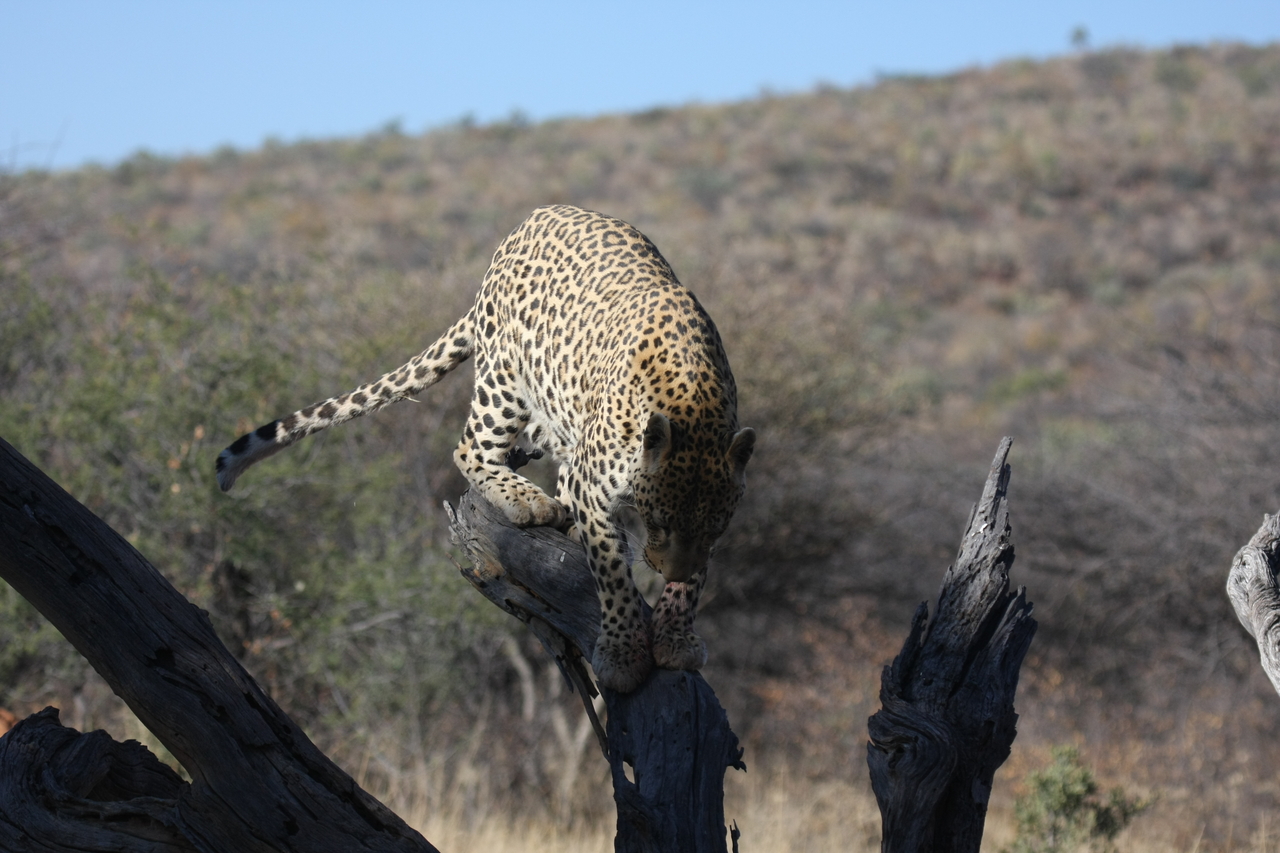 [5748] 2016_06_23_10_25_48_Africa_Canon_EOS_40D_IMG__08518.jpg