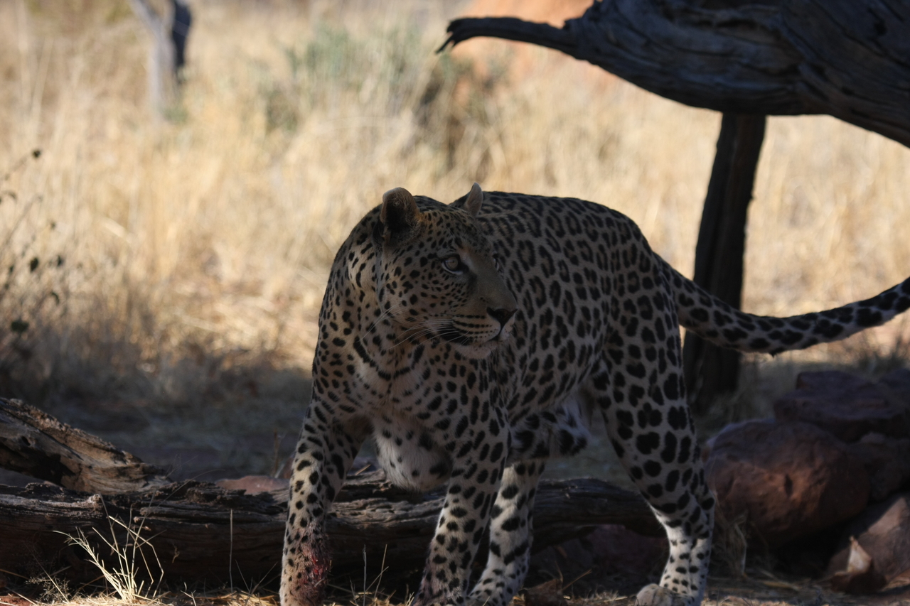 [5771] 2016_06_23_10_26_05_Africa_Canon_EOS_40D_IMG__00246.jpg