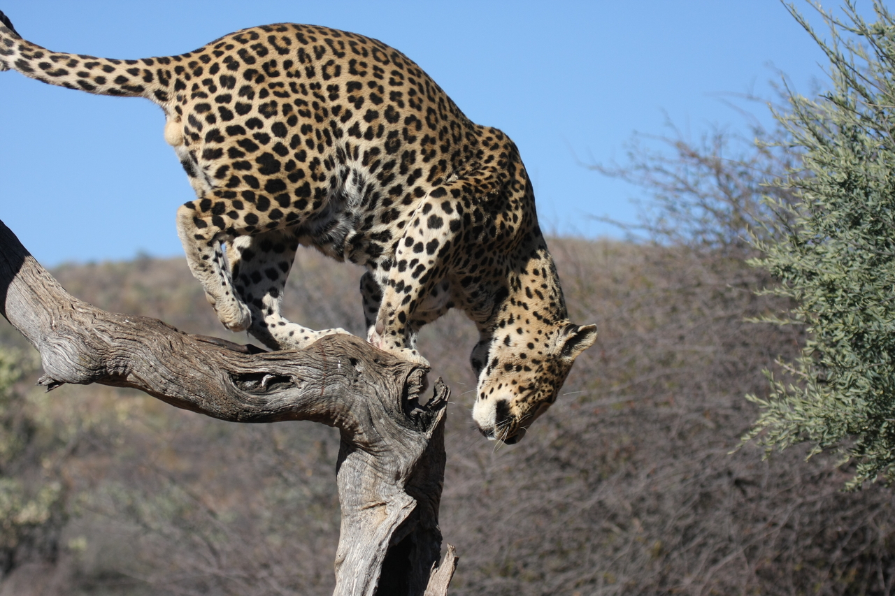 [5813] 2016_06_23_10_26_35_Africa_Canon_EOS_40D_IMG__00260.jpg