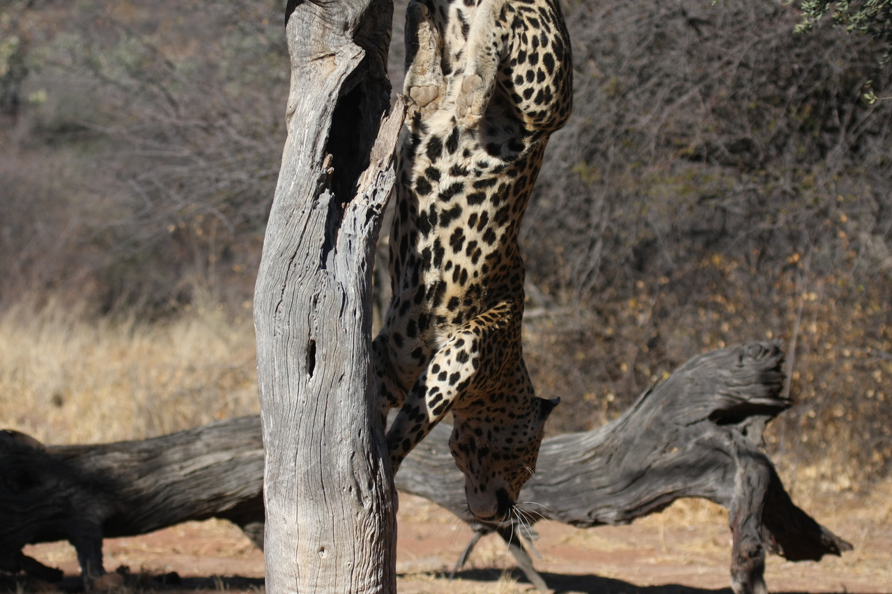 [5816] 2016_06_23_10_26_37_Africa_Canon_EOS_40D_IMG__00261.jpg