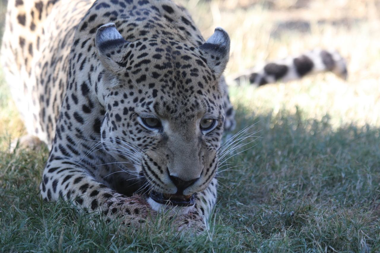 [5885] 2016_06_23_10_27_32_Africa_Canon_EOS_40D_IMG__01113.jpg