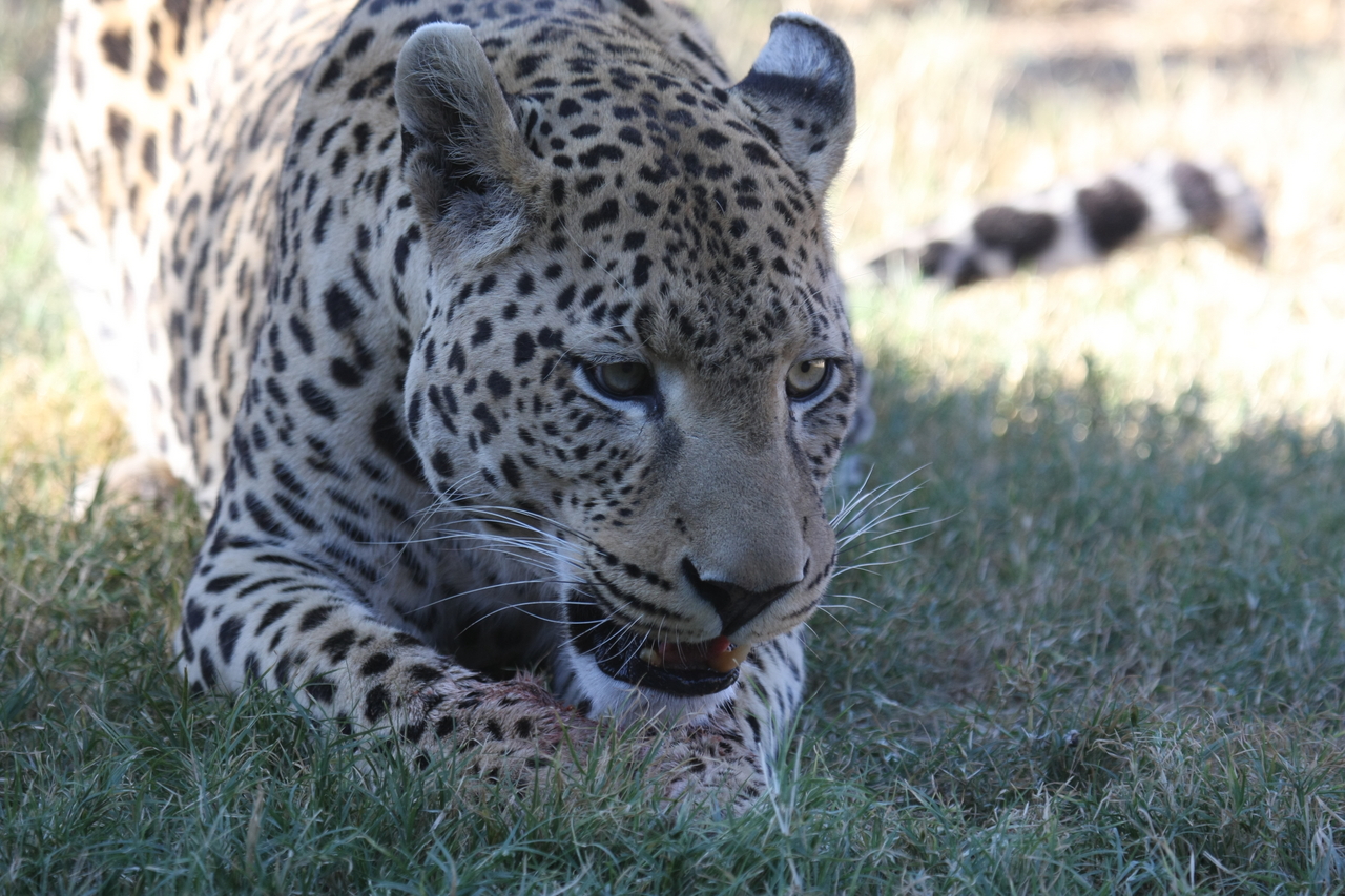 [5904] 2016_06_23_10_27_34_Africa_Canon_EOS_40D_IMG__08566.jpg