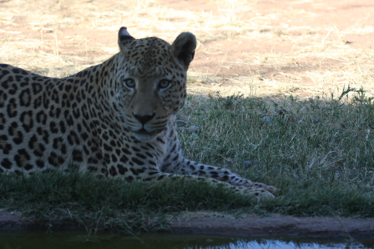 [6014] 2016_06_23_10_30_08_Africa_Canon_EOS_40D_IMG__00315.jpg