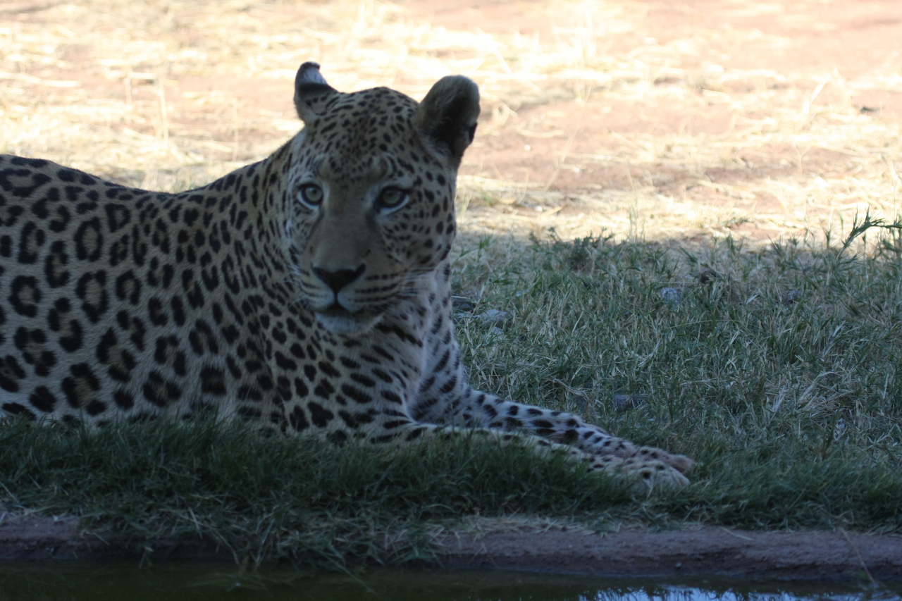 [6018] 2016_06_23_10_30_08_Africa_Canon_EOS_40D_IMG__01150.jpg