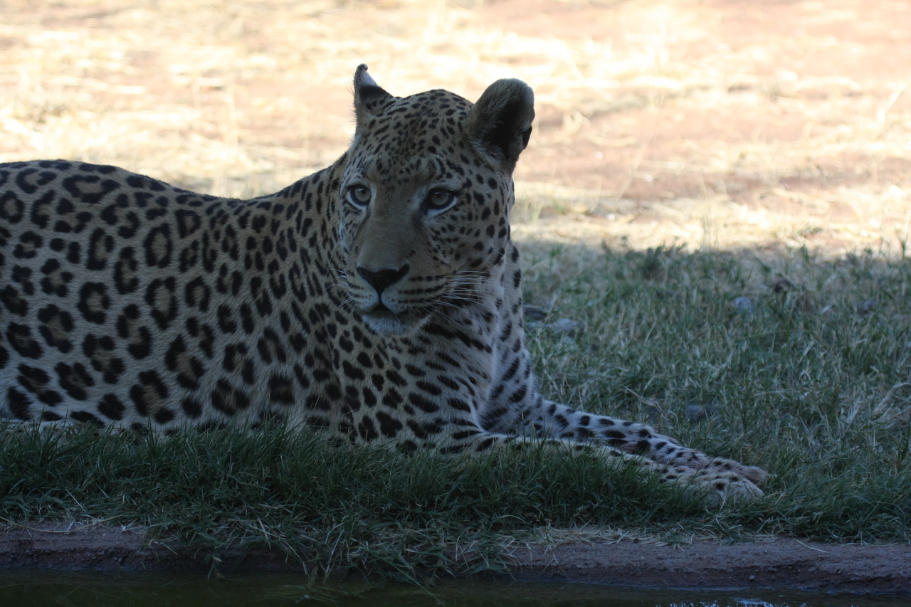 [6028] 2016_06_23_10_30_09_Africa_Canon_EOS_40D_IMG__00319.jpg