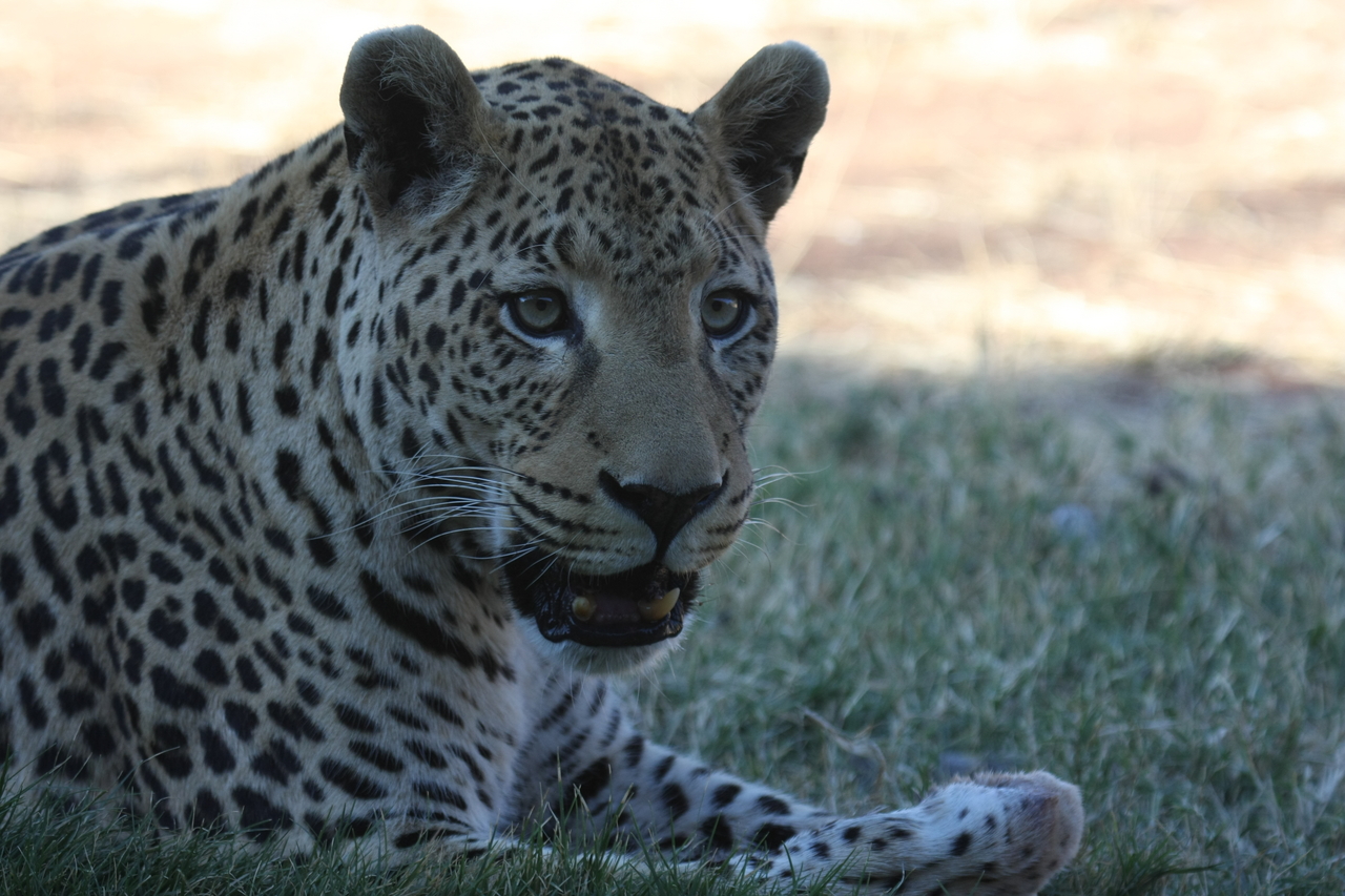 [6068] 2016_06_23_10_32_07_Africa_Canon_EOS_40D_IMG__00325.jpg