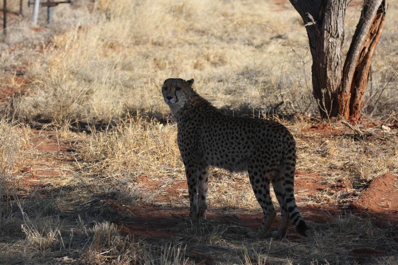 [6310] 2016_06_23_10_45_39_Africa_Canon_EOS_40D_IMG__01187.jpg