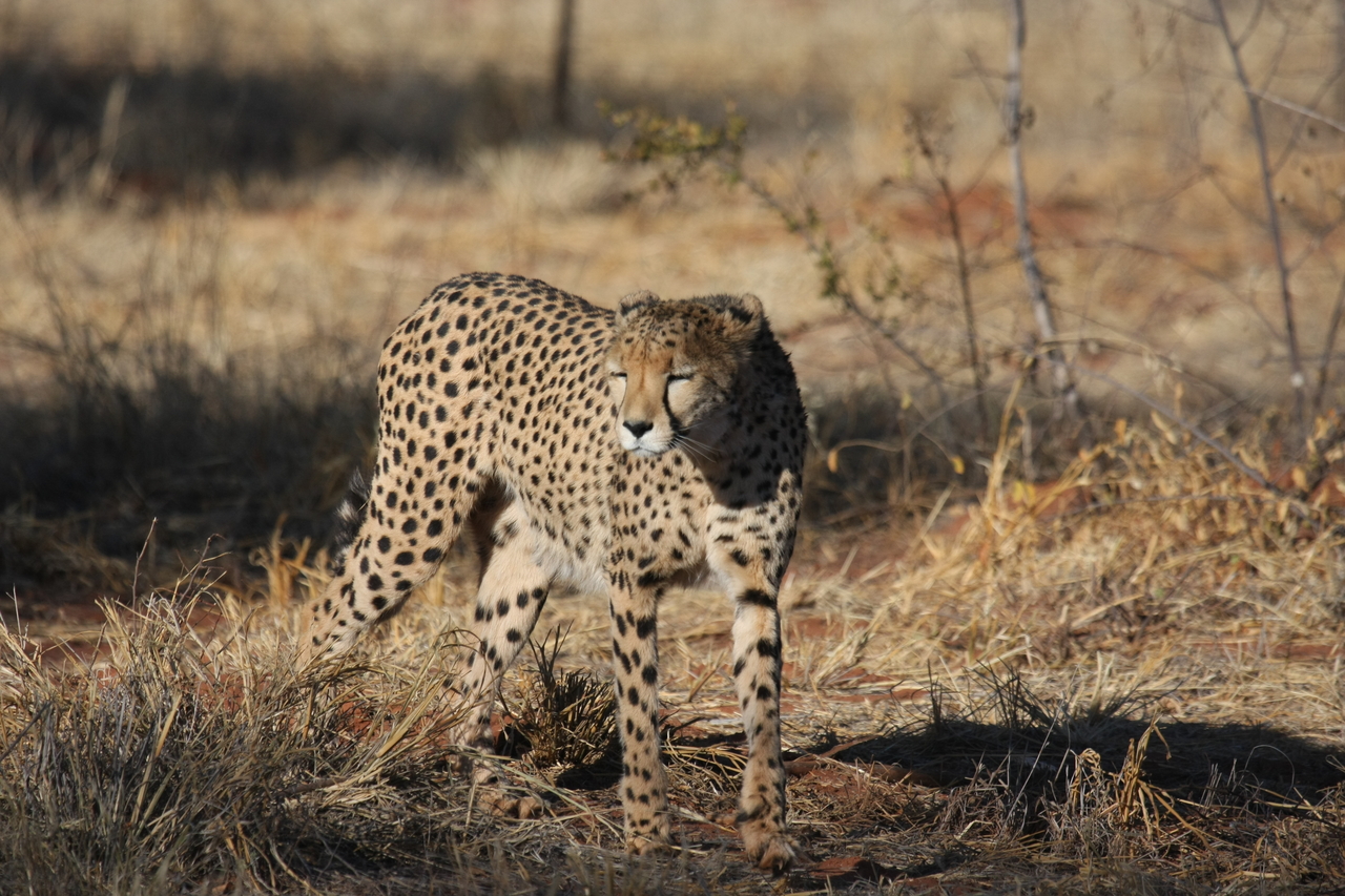 [6425] 2016_06_23_10_49_26_Africa_Canon_EOS_40D_IMG__01223.jpg