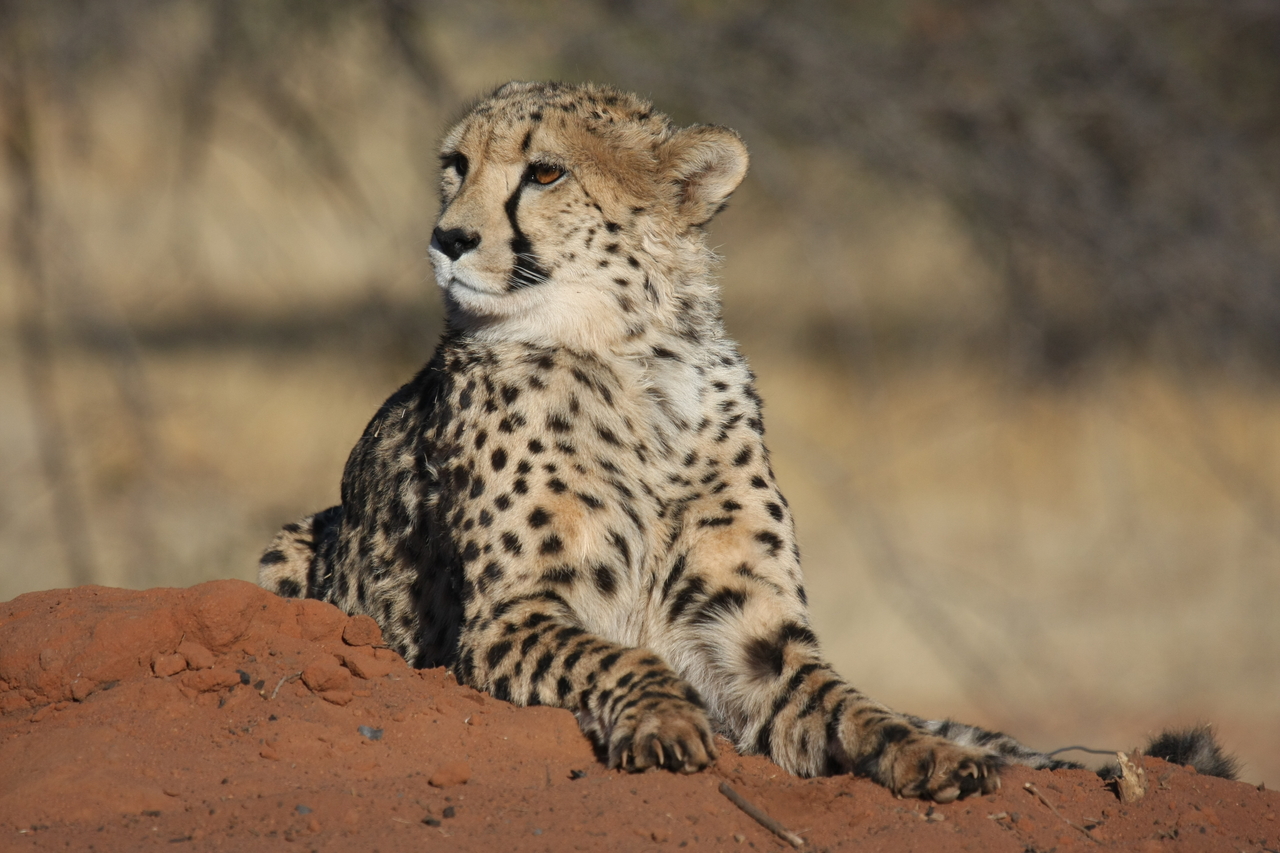 [6678] 2016_06_23_10_56_57_Africa_Canon_EOS_40D_IMG__08744.jpg