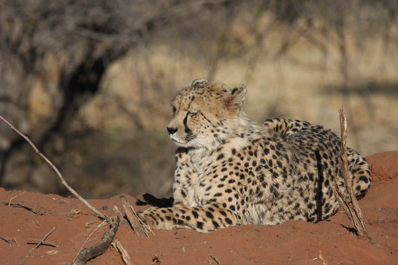 [6697] 2016_06_23_10_57_51_Africa_Canon_EOS_40D_IMG__01304.jpg