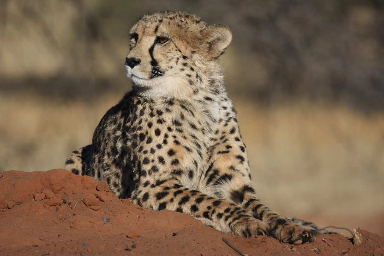 [6706] 2016_06_23_10_58_14_Africa_Canon_EOS_40D_IMG__00473.jpg