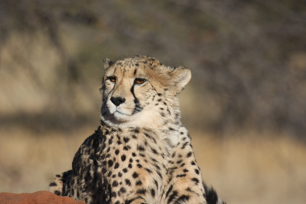 [6763] 2016_06_23_10_58_44_Africa_Canon_EOS_40D_IMG__08771.jpg