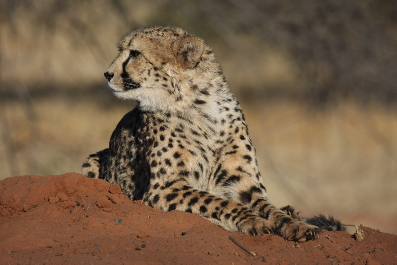 [6919] 2016_06_23_11_03_14_Africa_Canon_EOS_40D_IMG__01371.jpg