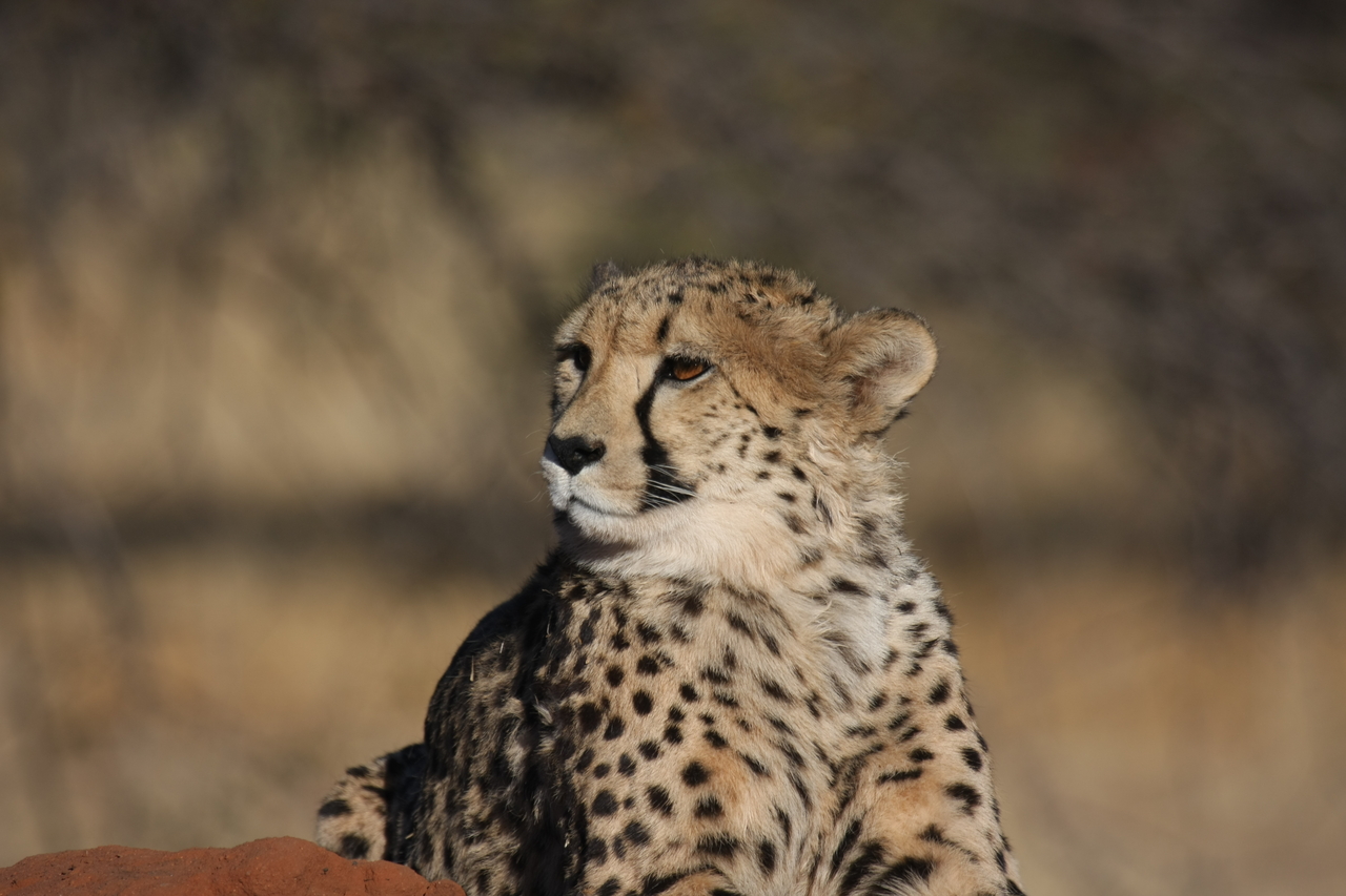 [6922] 2016_06_23_11_03_20_Africa_Canon_EOS_40D_IMG__00539.jpg