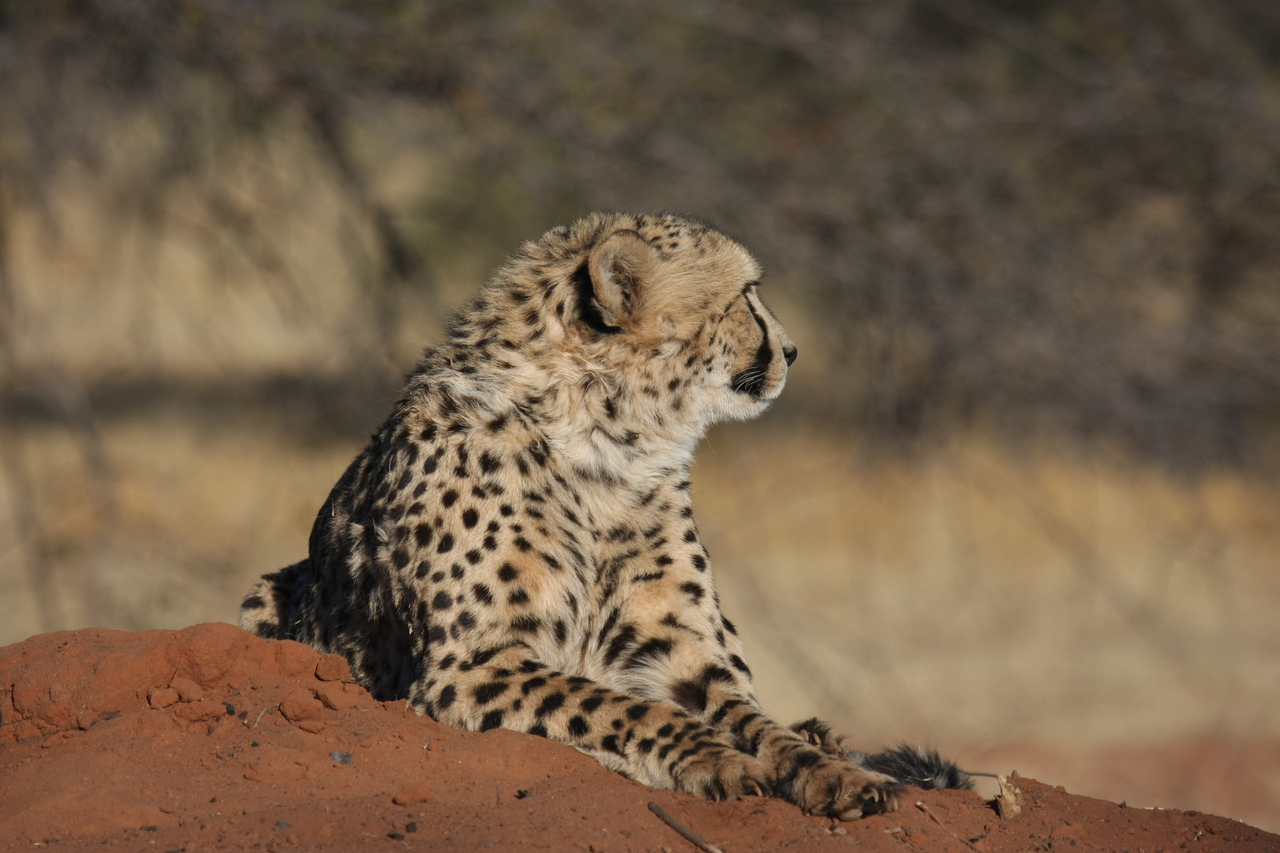 [6941] 2016_06_23_11_04_05_Africa_Canon_EOS_40D_IMG__08825.jpg