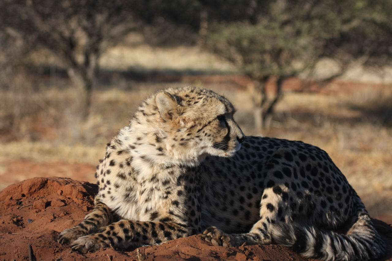 [7069] 2016_06_23_11_13_20_Africa_Canon_EOS_40D_IMG__08863.jpg