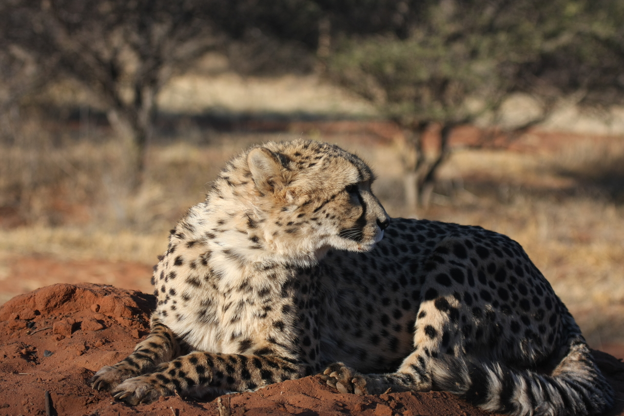 [7070] 2016_06_23_11_13_20_Africa_Canon_EOS_40D_IMG__08864.jpg