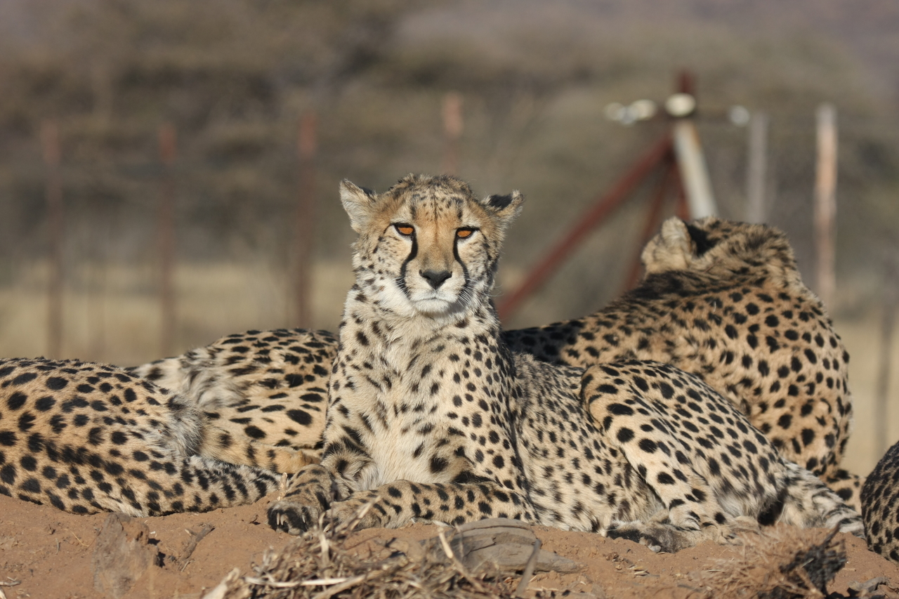 [7133] 2016_06_23_11_19_50_Africa_Canon_EOS_40D_IMG__08873.jpg