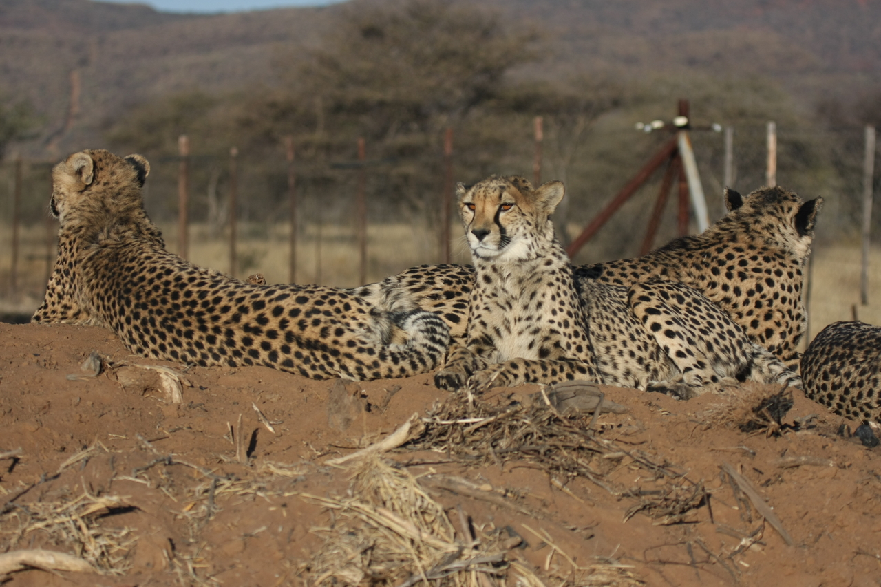 [7150] 2016_06_23_11_20_35_Africa_Canon_EOS_40D_IMG__00597.jpg