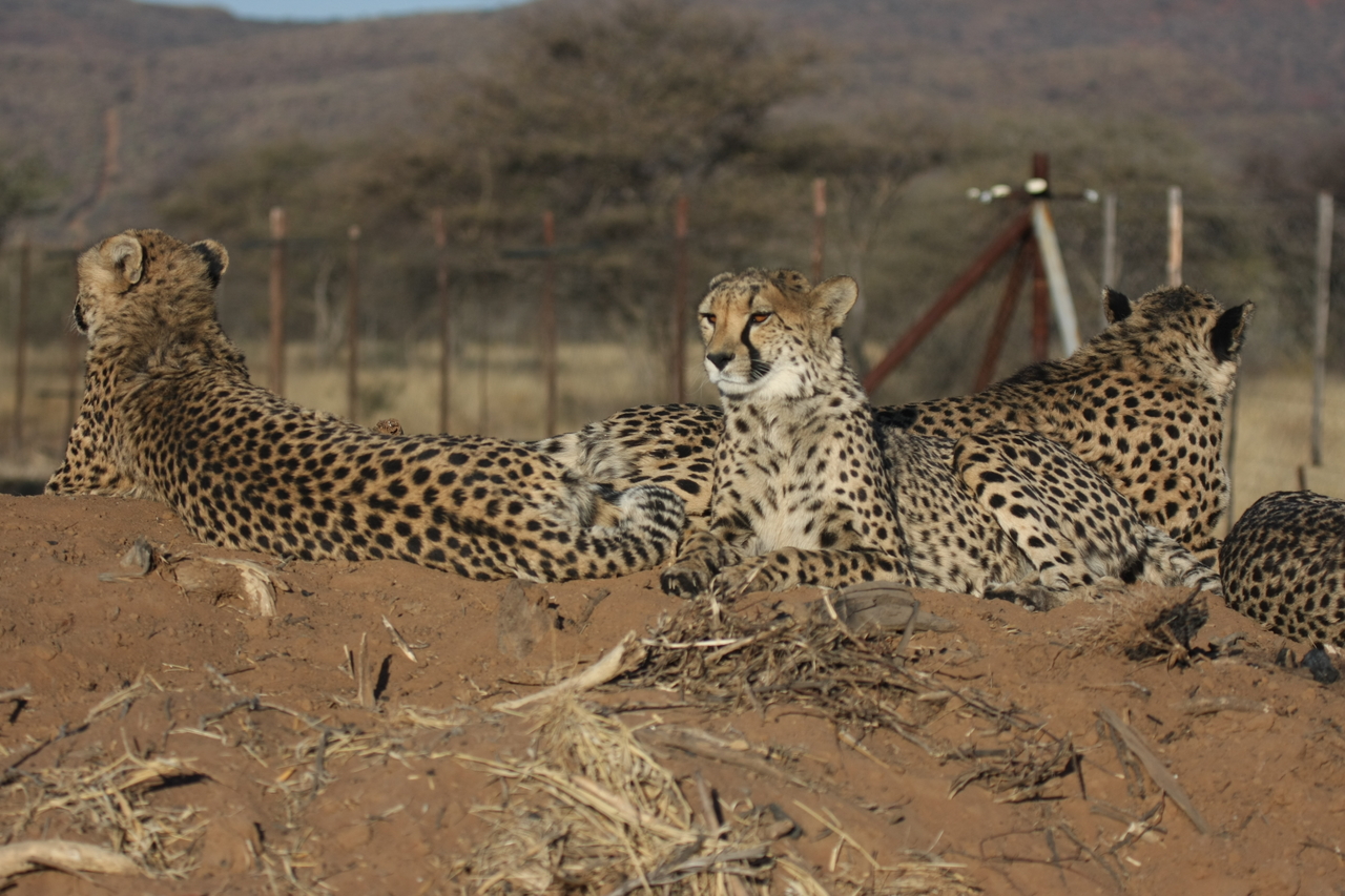 [7159] 2016_06_23_11_20_36_Africa_Canon_EOS_40D_IMG__00600.jpg