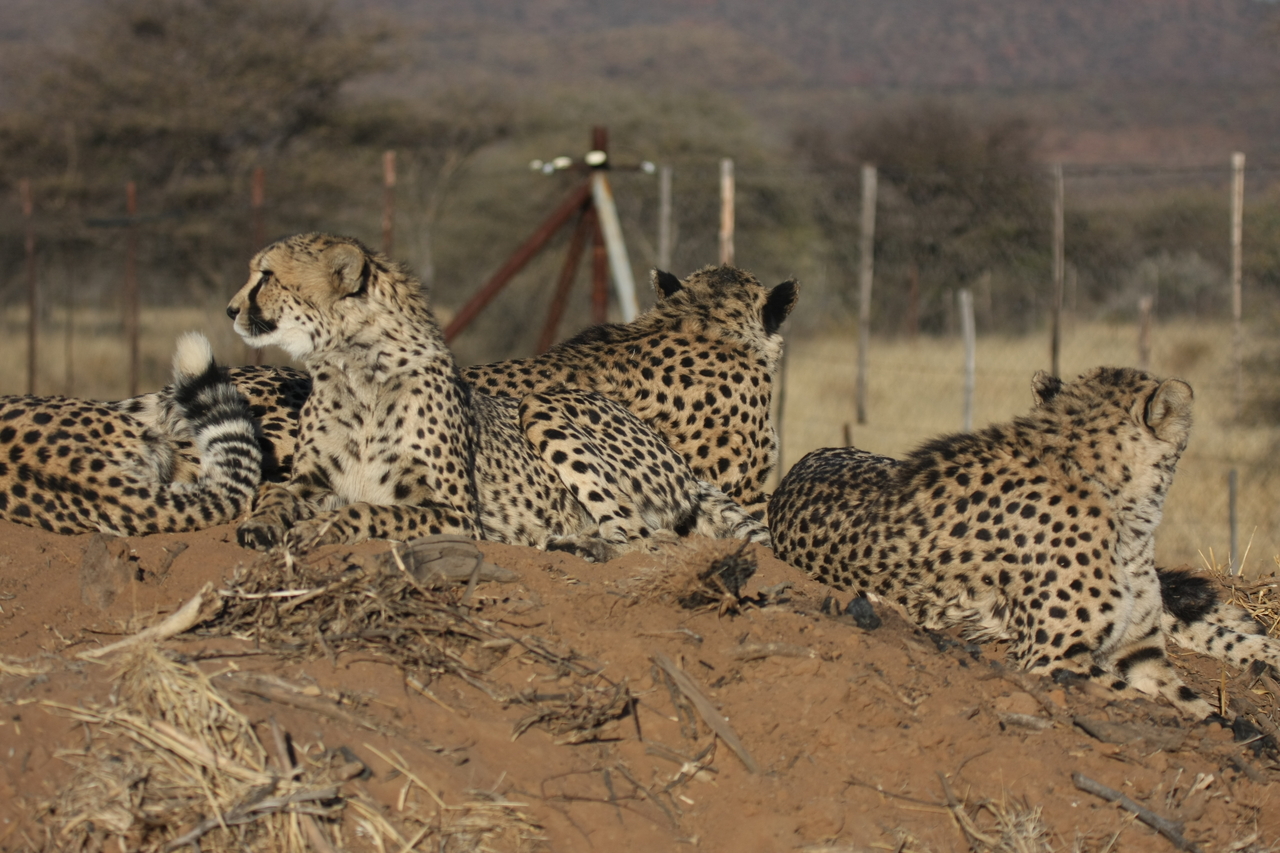 [7168] 2016_06_23_11_20_41_Africa_Canon_EOS_40D_IMG__00603.jpg