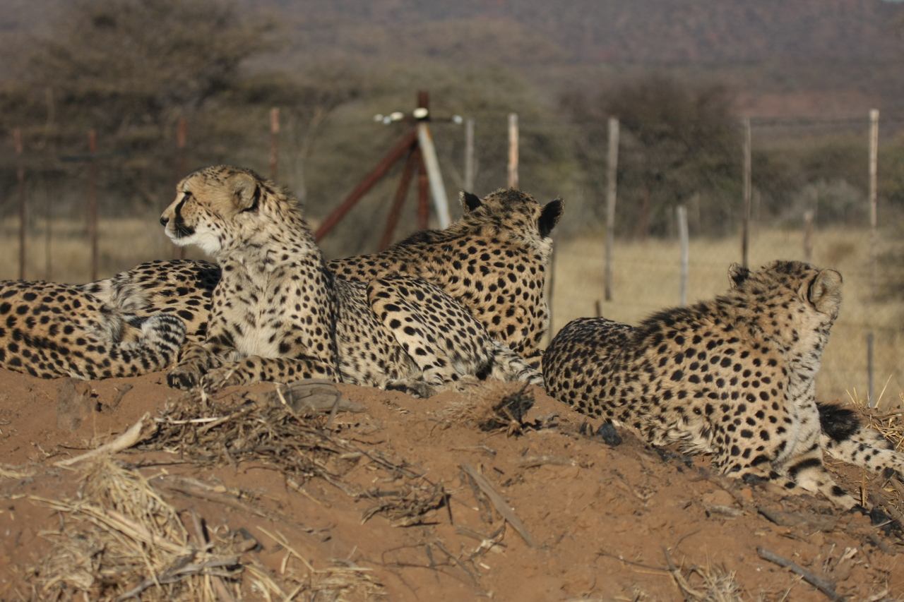 [7172] 2016_06_23_11_20_41_Africa_Canon_EOS_40D_IMG__08882.jpg