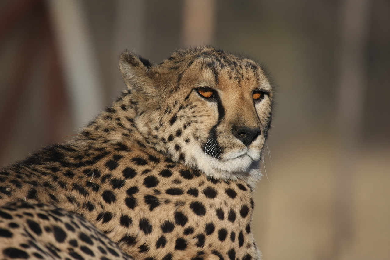 [7178] 2016_06_23_11_21_03_Africa_Canon_EOS_40D_IMG__00605.jpg