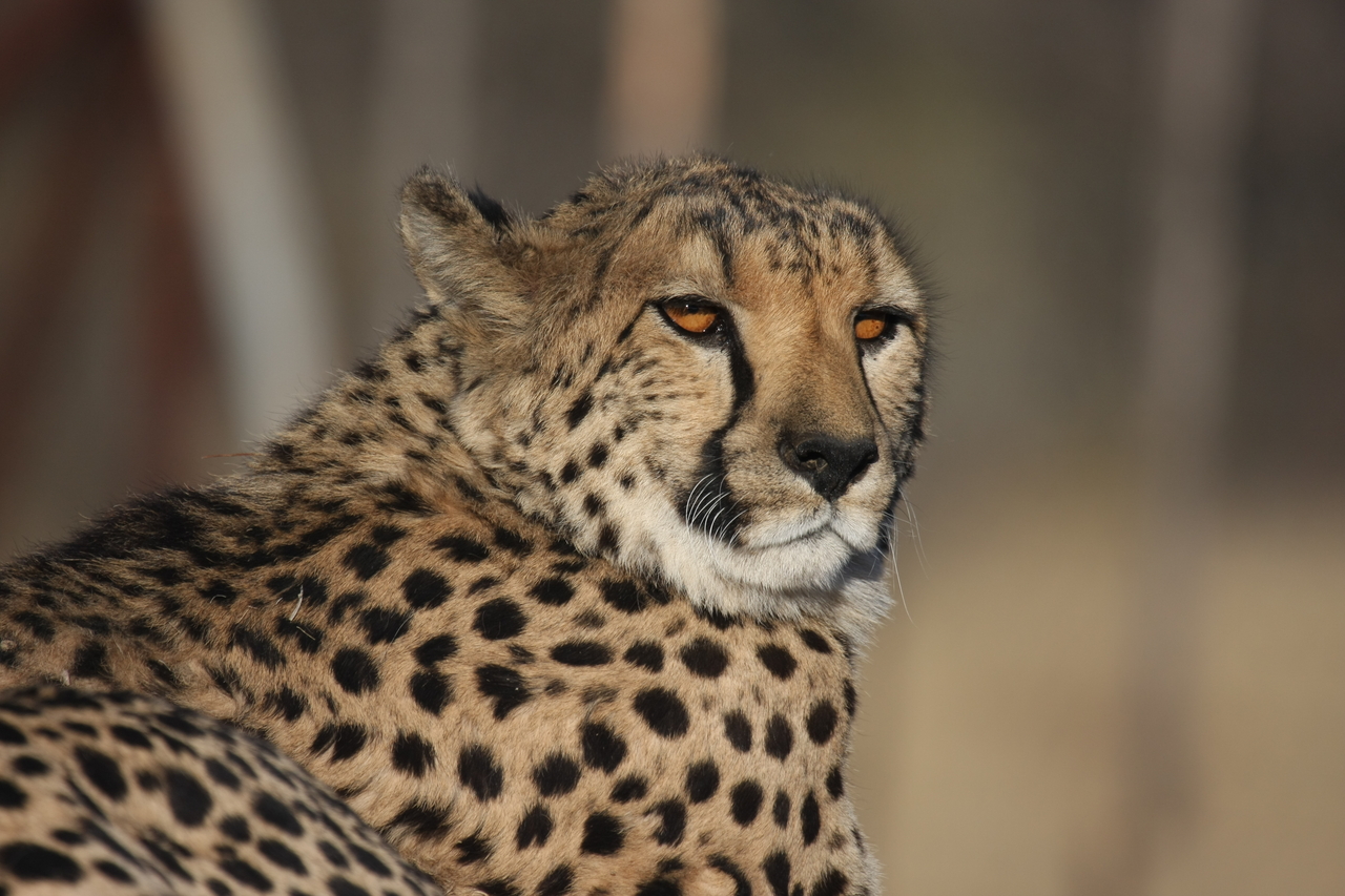 [7180] 2016_06_23_11_21_03_Africa_Canon_EOS_40D_IMG__00607.jpg