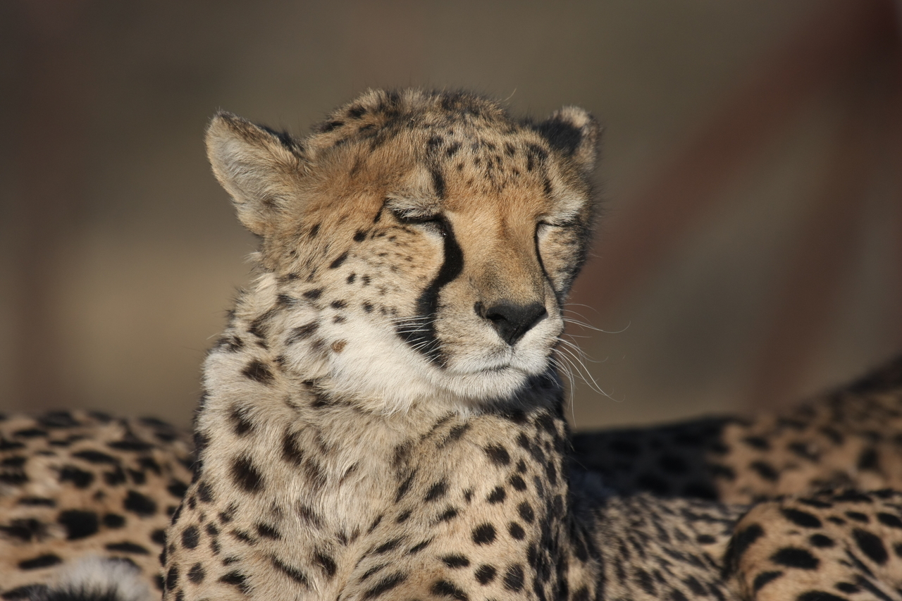 [7187] 2016_06_23_11_21_09_Africa_Canon_EOS_40D_IMG__00608.jpg