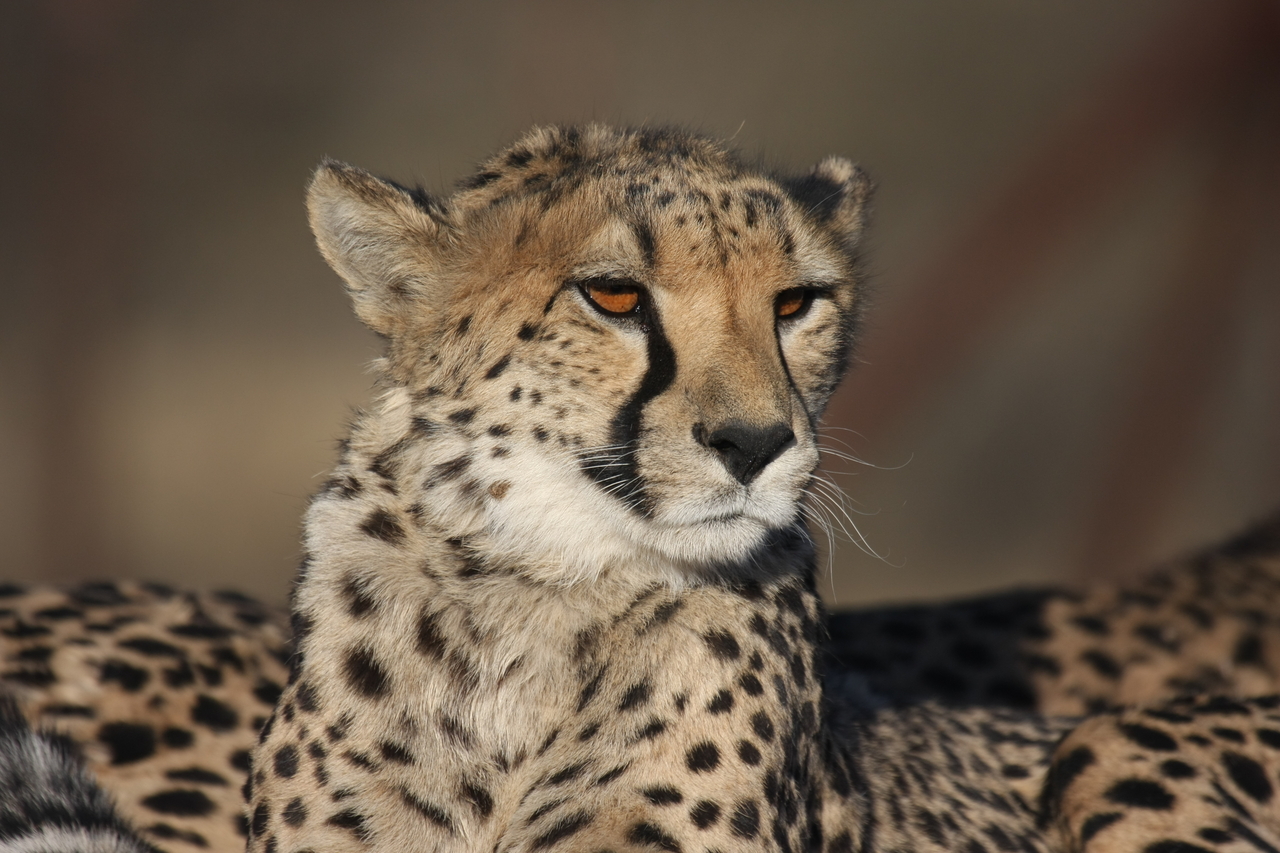 [7192] 2016_06_23_11_21_09_Africa_Canon_EOS_40D_IMG__01444.jpg