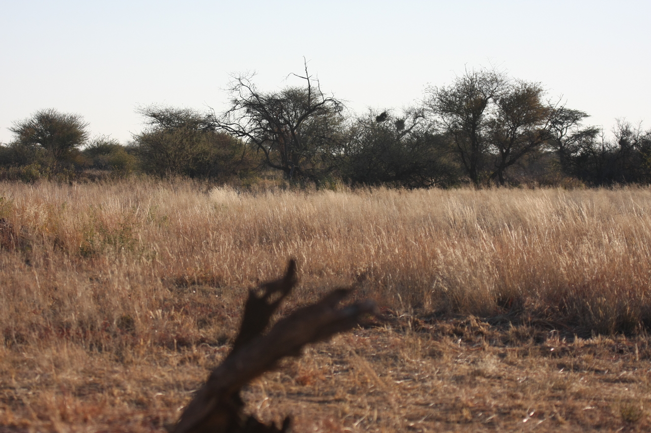 [7215] 2016_06_23_11_33_18_Africa_Canon_EOS_40D_IMG__00616.jpg