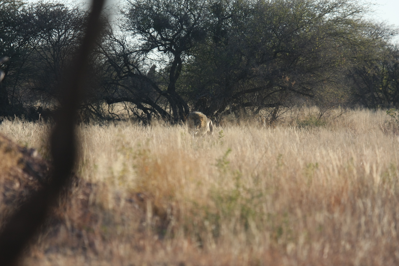 [7224] 2016_06_23_11_38_31_Africa_Canon_EOS_40D_IMG__01453.jpg