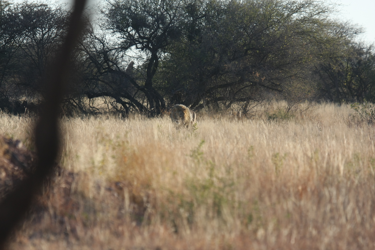 [7225] 2016_06_23_11_38_31_Africa_Canon_EOS_40D_IMG__08899.jpg