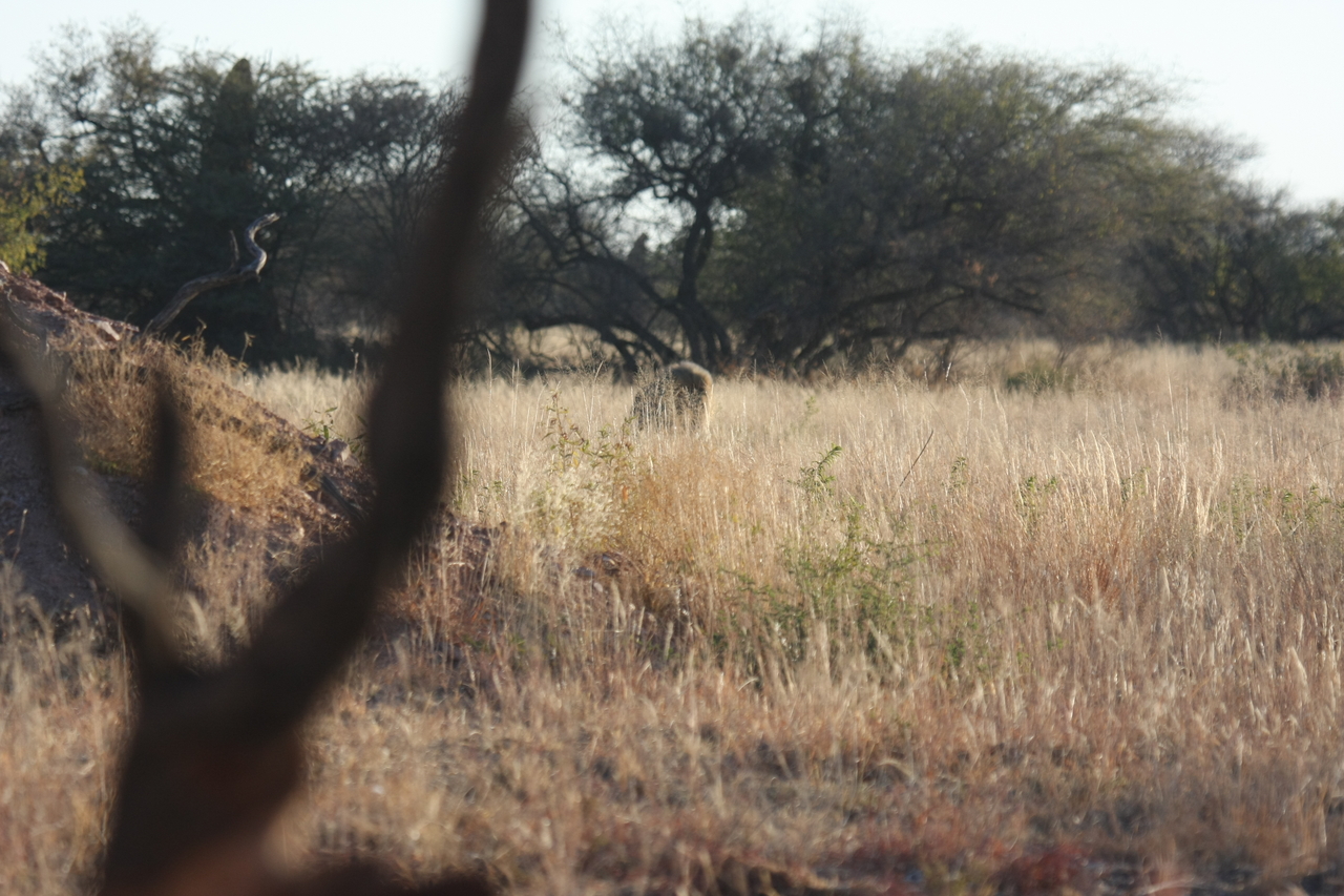 [7230] 2016_06_23_11_38_44_Africa_Canon_EOS_40D_IMG__01454.jpg