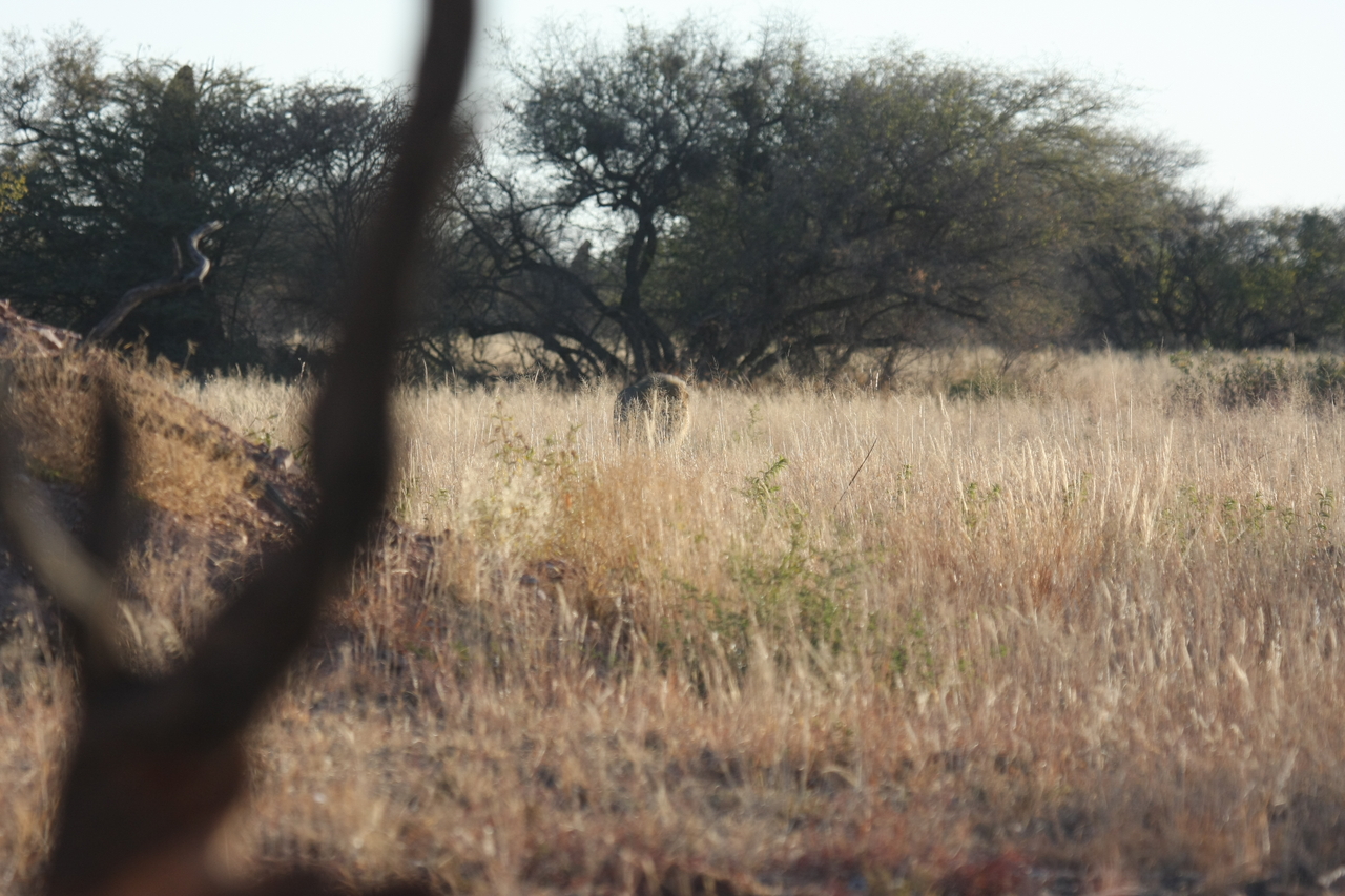 [7232] 2016_06_23_11_38_44_Africa_Canon_EOS_40D_IMG__01456.jpg