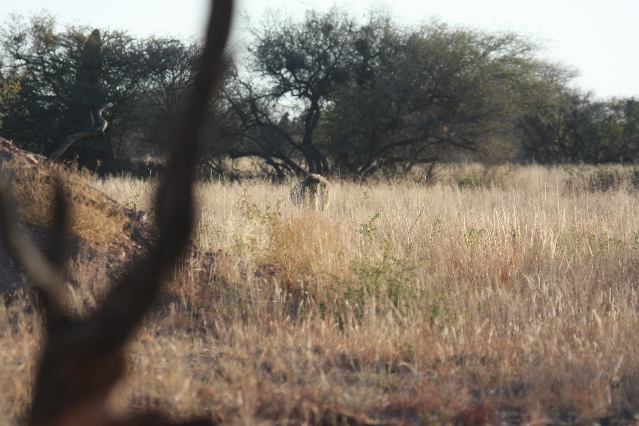 [7234] 2016_06_23_11_38_44_Africa_Canon_EOS_40D_IMG__08902.jpg