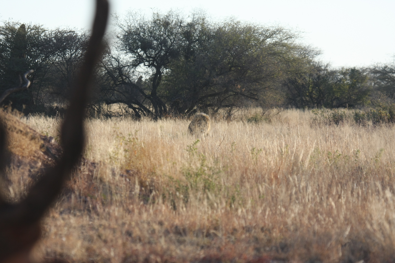 [7241] 2016_06_23_11_38_48_Africa_Canon_EOS_40D_IMG__08905.jpg