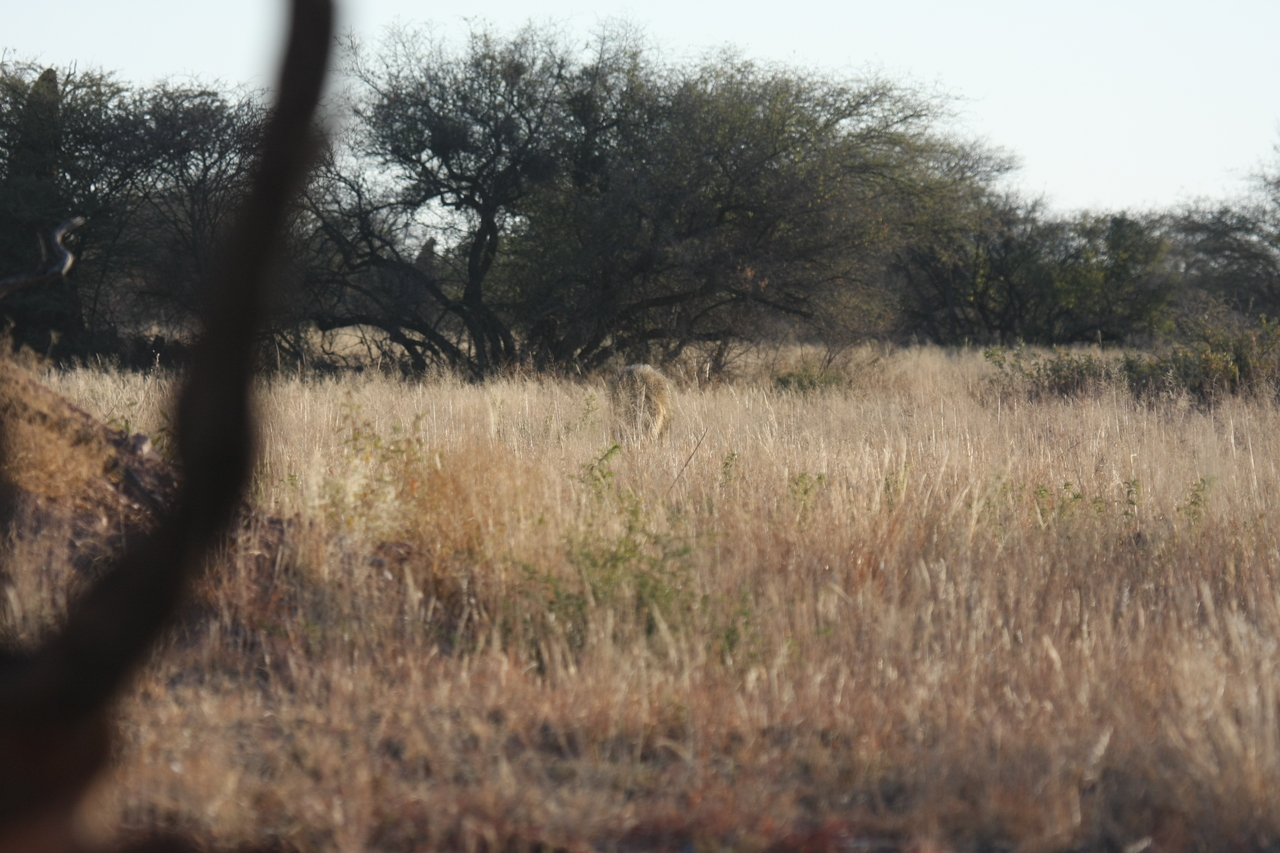 [7243] 2016_06_23_11_38_54_Africa_Canon_EOS_40D_IMG__00626.jpg